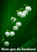 Po&eacute;sie florale du muguet en mai